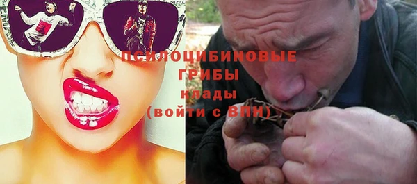 прущий лед Елабуга