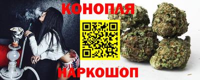 jwh Свободный
