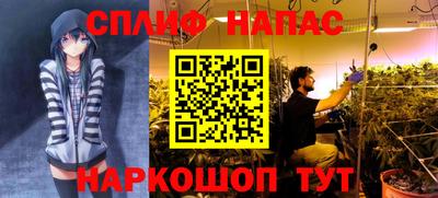 сатива Северобайкальск
