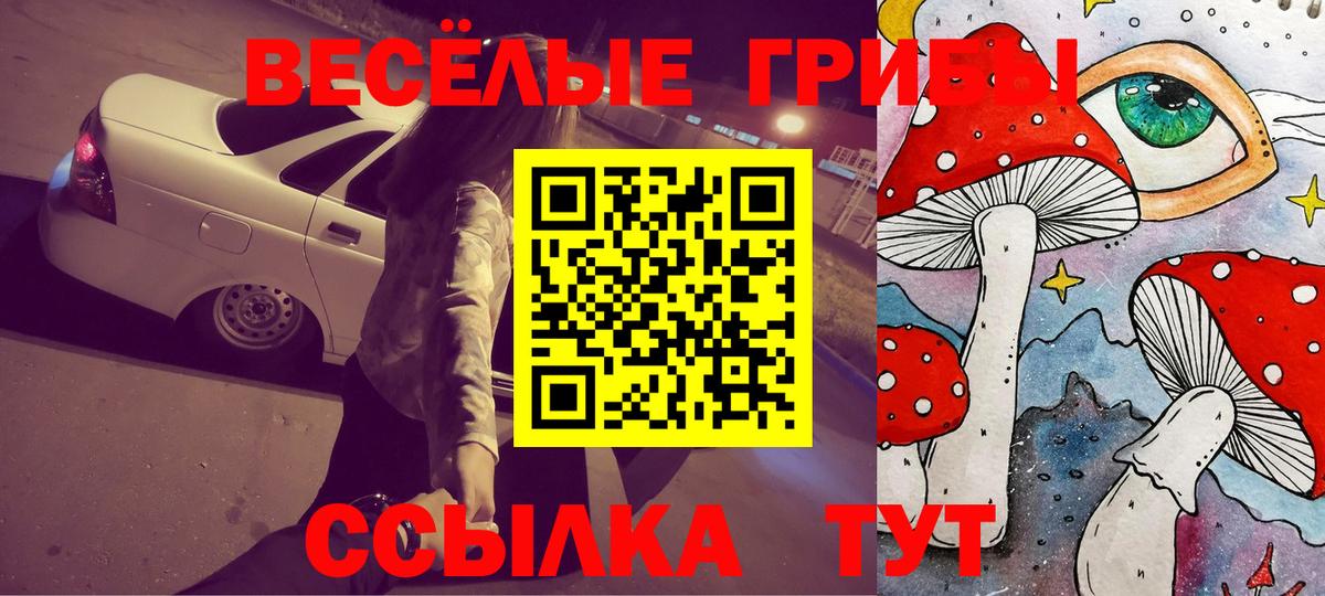 Галлюциногенные грибы Psilocybe  Вход с VPN  Галлюциногенные грибы ЛСД  Пенза 
