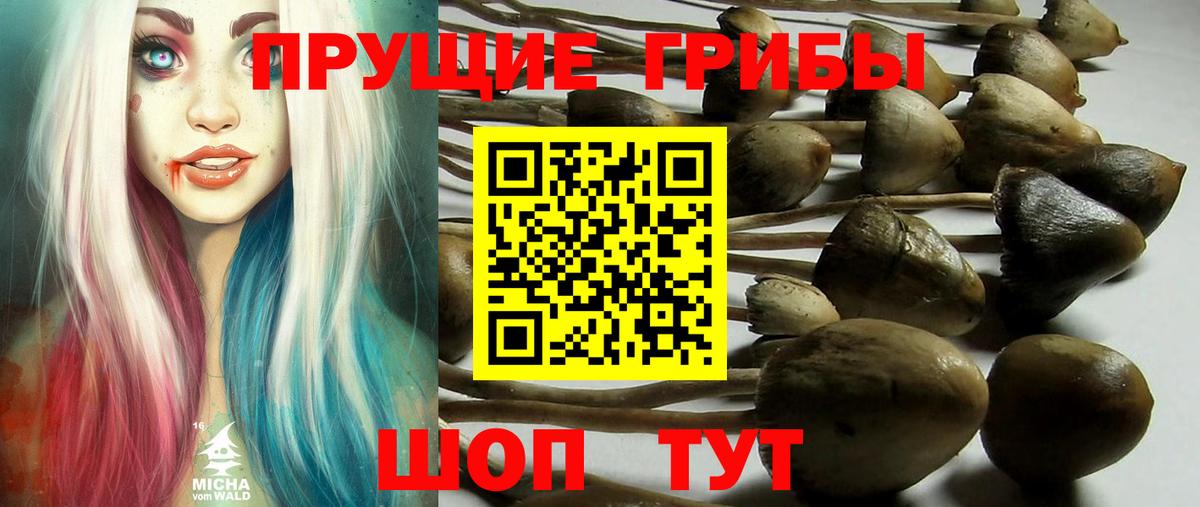 Псилоцибиновые грибы MAGIC MUSHROOMS Пенза